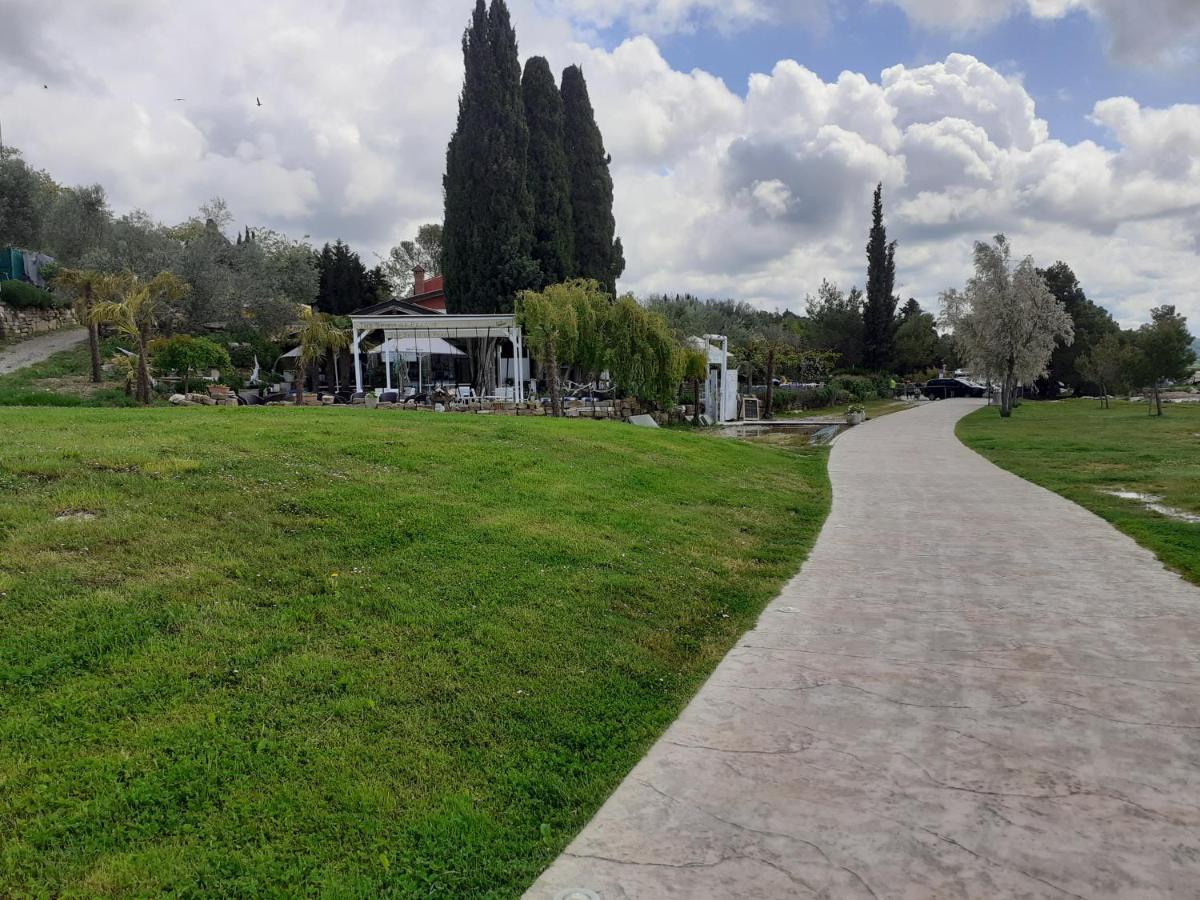 Apartments Villa Bazilika Secovlje Exterior photo